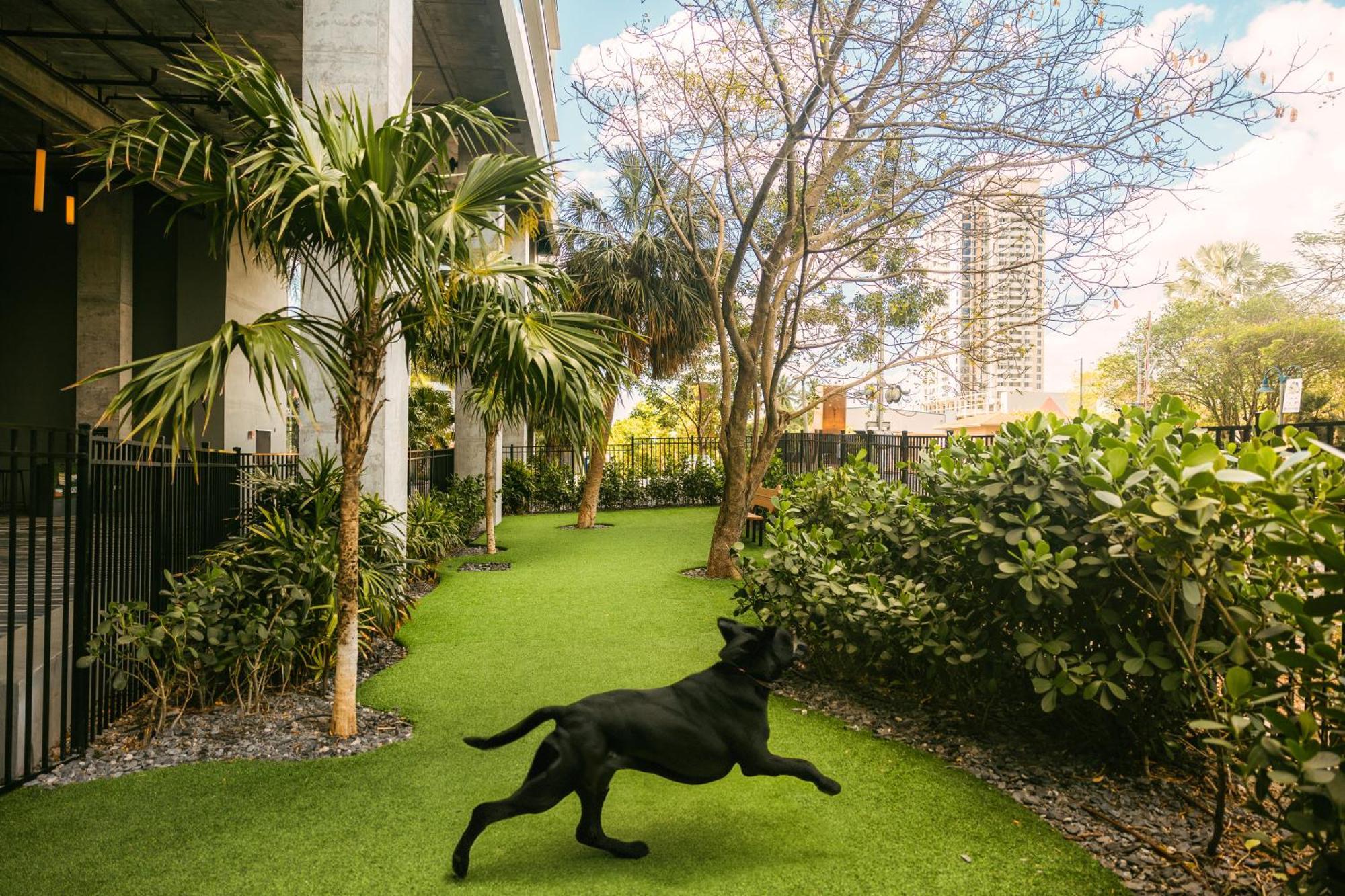 Flow Fort Lauderdale Hotel Luaran gambar